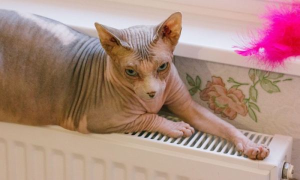 Теплая зима сэкономит деньги. Но через год