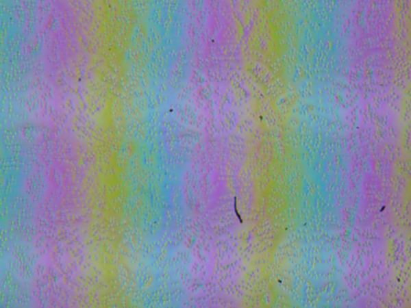 Обзор игрового ноутбука Maibenben Typhoon X16A на базе AMD Ryzen 7 7435 и Nvidia GeForce RTX 4060 Laptop