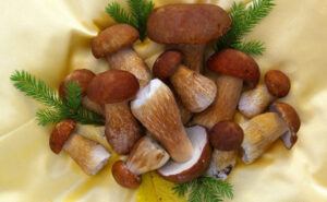 Доступен каждому: Назван продукт, который замедляет старение