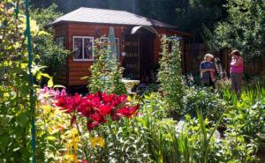 «Срубил вишню — присел на семерик»: Дачникам напомнили об очередном суровом запрете