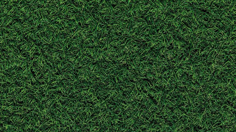 Как выбрать газонокосилку для дачи: 8 самых важных характеристик