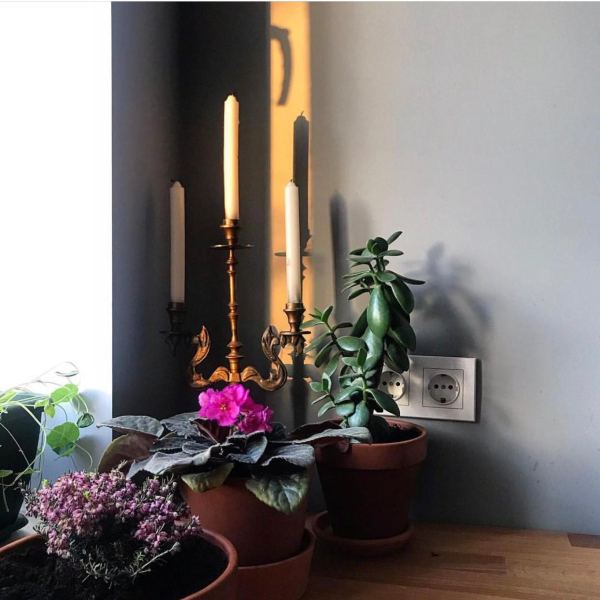 «Сталинка, я выбираю тебя!». Почему люди хотят жить в домах 30–50-х годов постройки